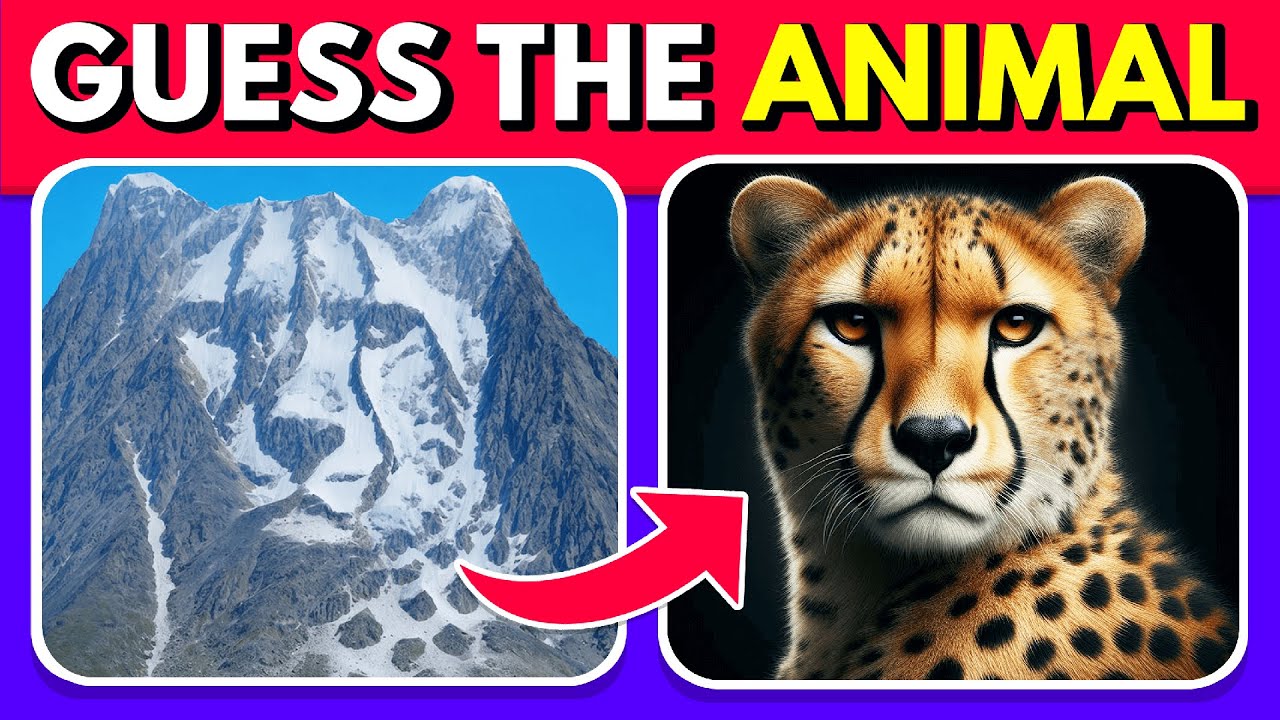 Guess the Hidden Animal by ILLUSIONS 🐶🐵🐈 Easy, Medium, Hard levels Quiz