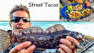 DELICIOUS Rockfish STREET TACOS with Pico De Gallo! Jetty Fishing Catch and Cook