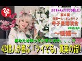【斉藤一人】第４回斉藤一人オンライン寺子屋講演会 2020年8月8日　後編≪ ４２億人が喜ぶ「ツイてる」真実の話！！ ≫
