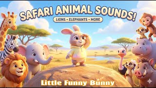 EP5: Safari Animal Sounds 🦁🐘 | Savanna Adventure | 3D Safari Adventure | Animals And Sounds Learning screenshot 2