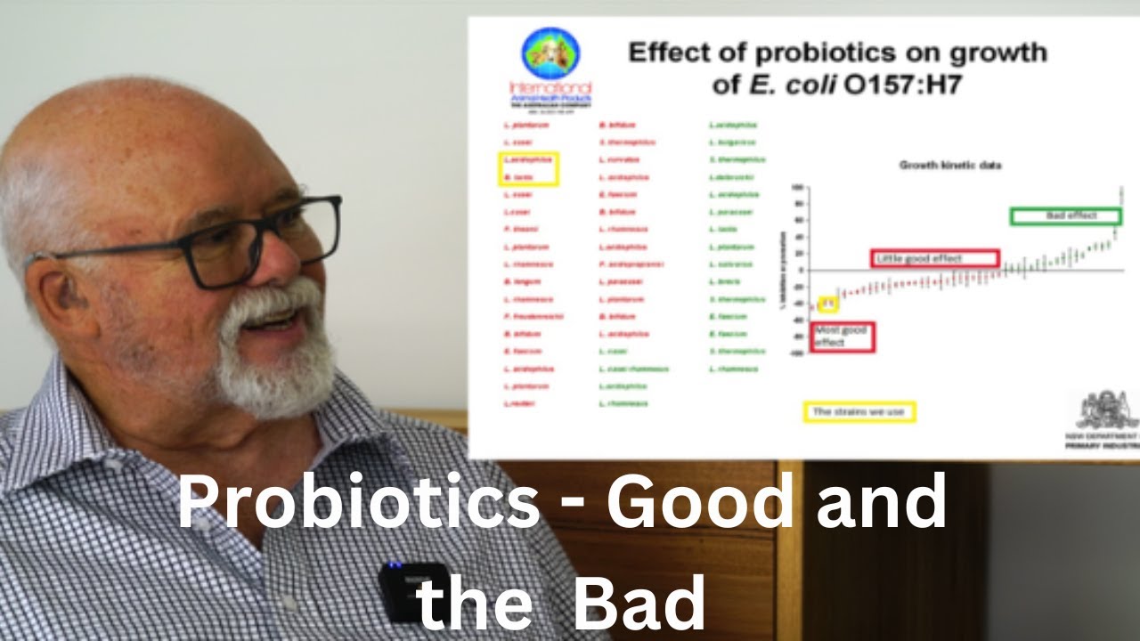 The Truth About Probiotics: Boosting Health or Hype? - YouTube