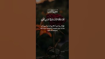 سورة التين والزيتون كاملة بصوت خاشع يريح القلب | تلاوة مؤثرة قصيرة ✨