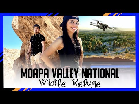 Moapa Valley National Wildlife Refuge | Moapa Dace | Spirit of Nevada