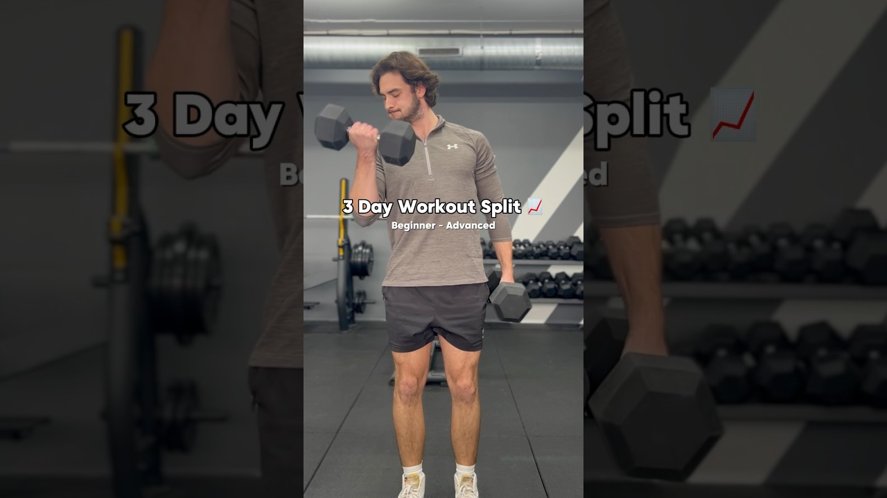 3 Day Workout Split (Beginner-Advanced)