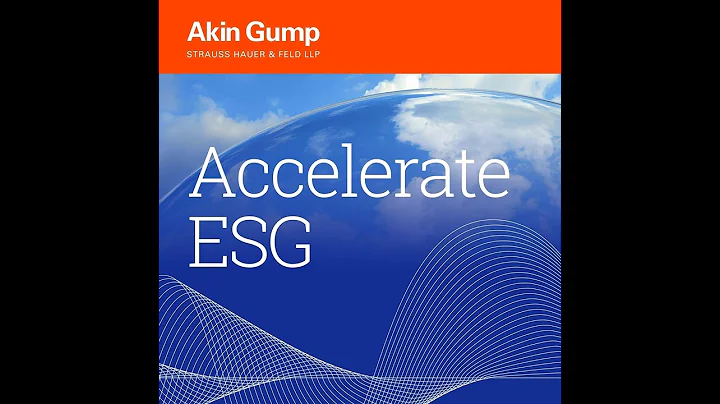 ESG Litigation in the US – Disclosures and Risks