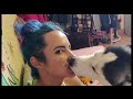 [Re-Upload] Husky licking girl for 8 minutes straight