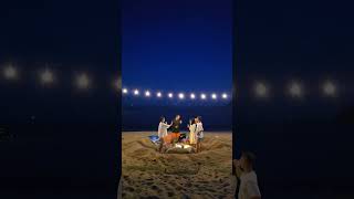 국내에도 이런 곳이  #beach#beachlife#바다#파도#야자나무#야자수