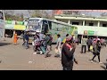 Shorts #business #love #super #bus #transportation #best ...