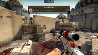 cs2 lvl 10 random clips
