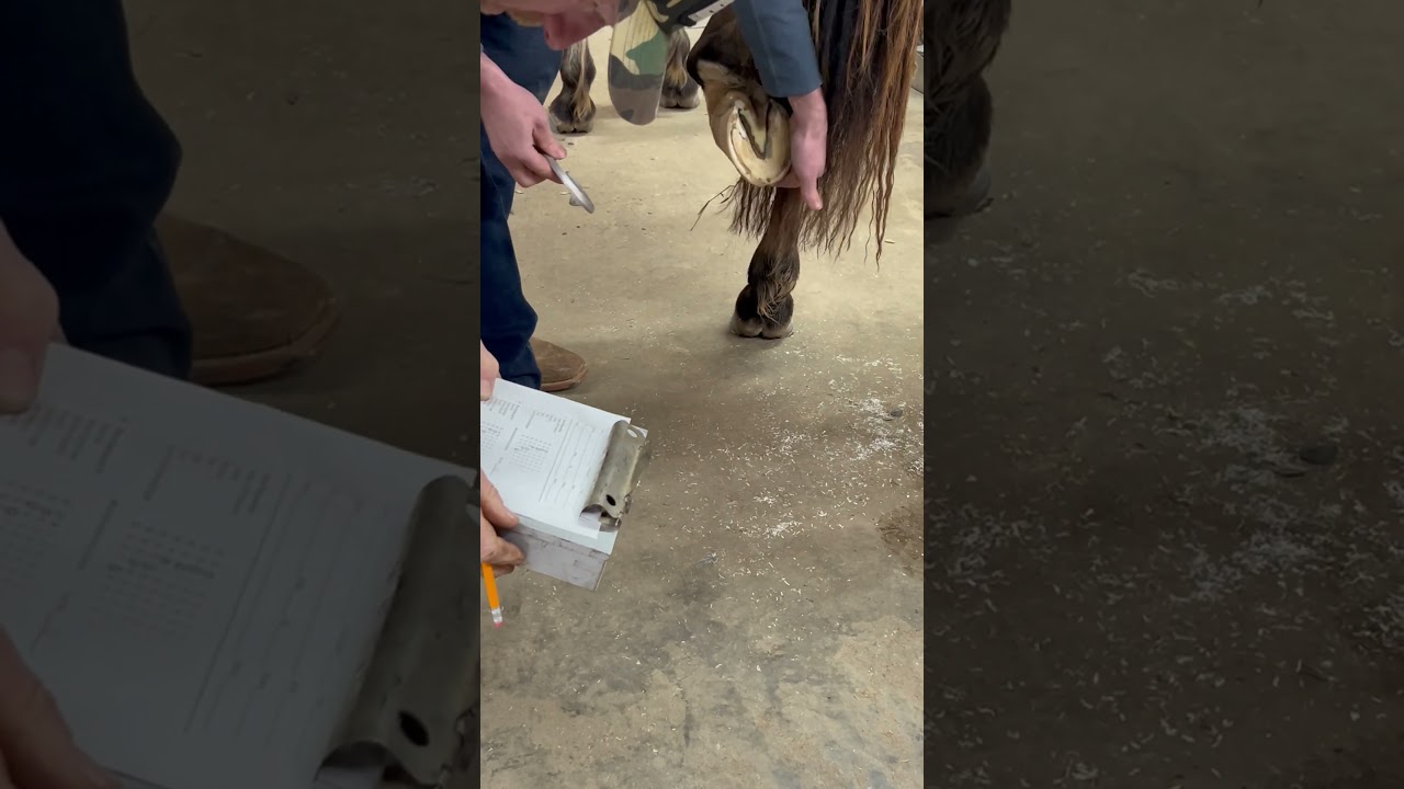 AFA Raceplater certification demonstration - Pat Broadus CJF (December 20, 2024)