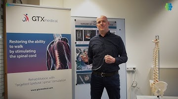 DISPERSE: Technology for MR conditional safe spinal implants