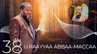 RAAYYAA ABBA MACCAA 38FFAA!!                                           YALII