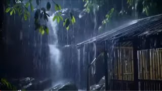 Download Lagu TIDUR NYENYAK SAAT HUJAN DERAS || HUJAN GUNTUR PENGANTAR TIDUR MP3 Download Lagu TIDUR NYENYAK SAAT HUJAN DERAS || HUJAN GUNTUR PENGANTAR TIDUR MP3