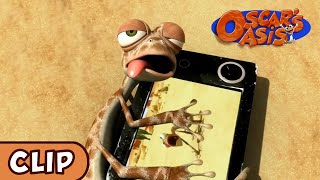 Oscar's Oasis - My Camera! | HQ | Funny Cartoons