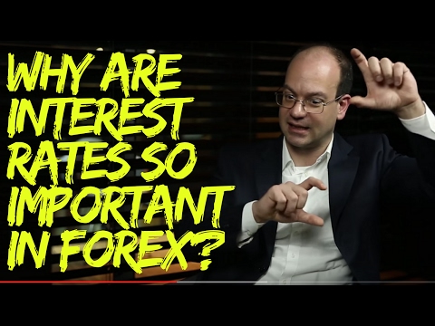 Why are Interest Rates so Important for Forex Traders?
