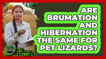 Are Brumation And Hibernation The Same For Pet Lizards?
