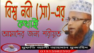 বশব নব স এর সমমন Tv September 2025