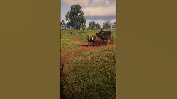 What does dynamite do in red dead redemption 2 #rdr2 #reddeadredemption # #arthurmorgan