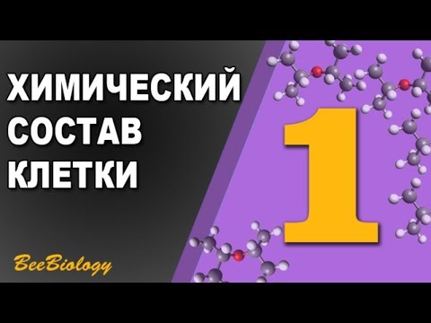 Урок по Биологии №1 - Химический Состав Клетки