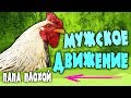 🚩 Мужское движение - феминизм наоборот.  Путь на зону.