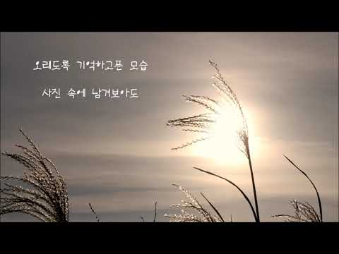 김나영  -  사랑했던 날