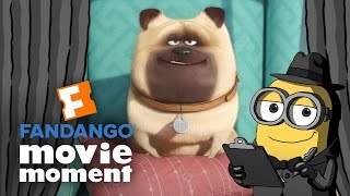 Minions At the Movies React to The Secret Life of Pets - Fandango Movie Moment (2016)