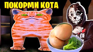 ПОКОРМИ КОТА!