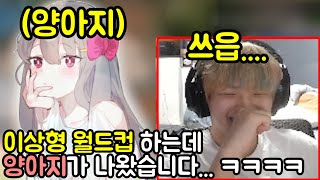 이상형 월드컵 하는데 양아지가 나왔습니다..