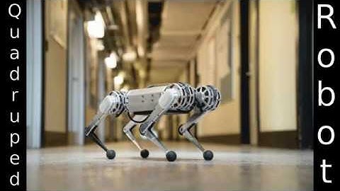 Quadruped Robot ROS Gazebo