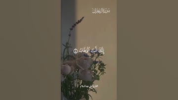 سورة آل عمران #قران_كريم #اكسبلور #تلاوة_خاشعة #جمعة_مباركة