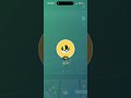 Pokémon Go Rayquaza showcase. #pokemongo #pokémon #rayquaza #pokemon