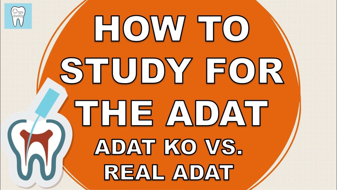 How I Studied for the ADAT Exam | ADAT Knockout vs Real ADAT!