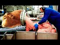 Incredible Modern Farm #WithMe​ Cow Farming Automatic Milking Milk Feeding Pretty Girl Combine 2021