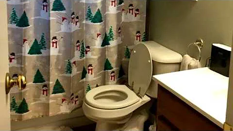 Residential for sale - 700 Garwood Street, Mt Pleasant, MI 48858