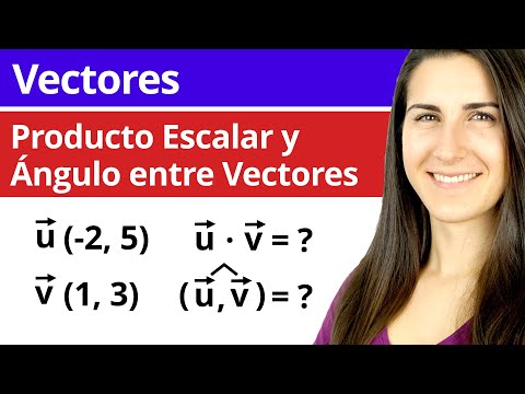 Vídeo: Quina diferència hi ha entre una matriu i un vector?