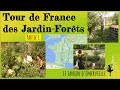 Tour de France des jardin-forêts. Partie 1 : Damien et Atmosvert