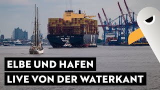 Elbe und Hafen-Flair live von der Waterkant 🚢  Das Treiben im Hamburger Hafen