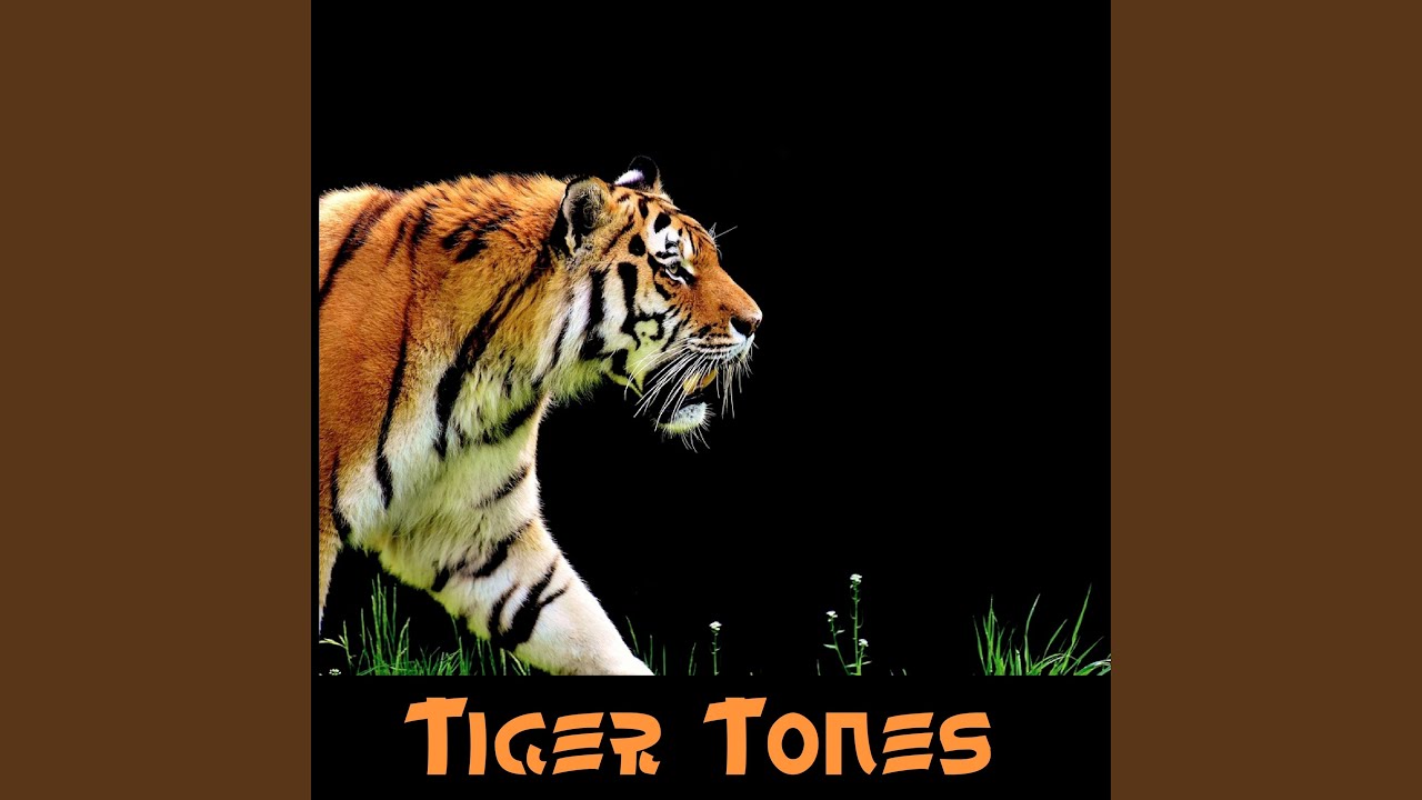 Watch Bengal on YouTube Watch Bengal on YouTube
