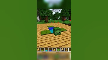 Secret Build Hack That Changes Everything in Minecraft#royzzz #minecraft #shorts