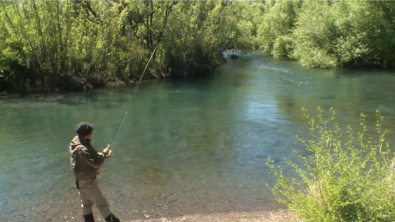 #195 【PART3】パタゴニアの水辺に躍る野生の煌めき～ネイティブトラウトが誘う夢体験～