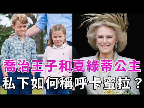 夏綠蒂公主私下如何稱呼卡米拉？喬治王子一個動作暴露私下關係！凱特王妃太可憐！ #喬治王子 #夏綠蒂公主 #女王 #卡蜜拉 #談笑娛生