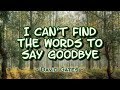 I Can&#39;t Find The Words to Say Goodbye - David Gates (KARAOKE VERSION)