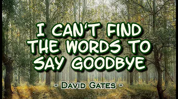 I Can't Find The Words to Say Goodbye - David Gates (KARAOKE VERSION)