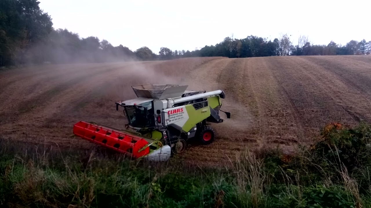 Claas Trion 660TT soja