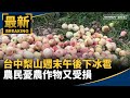 天然災害影響