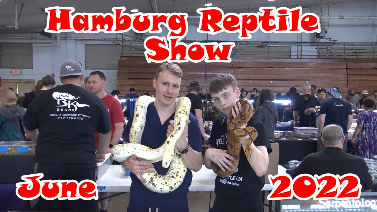 Hamburg Reptile Show June 2022 YouTube