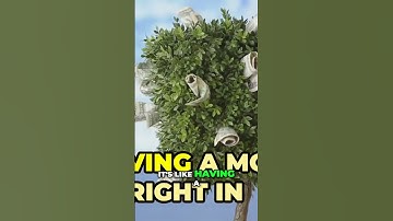 Unlock Million-Dollar Opportunities with JTBIT Token