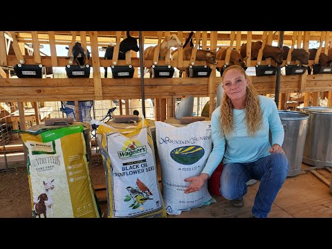 What We Feed
