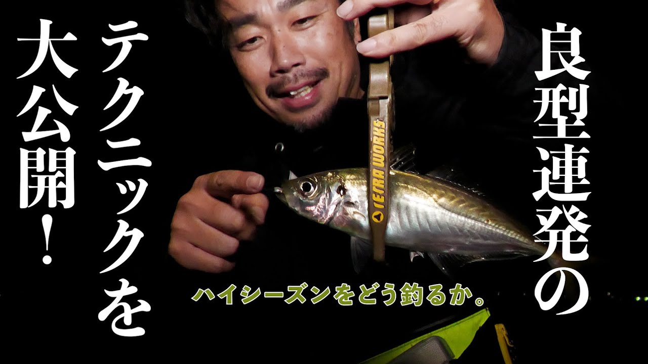 【アジング】良型連発のテクニックを大公開！