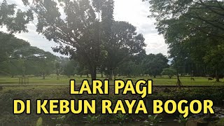 Lari Pagi di Sekitar Kebun Raya Bogor  #olahraga #kebunrayabogor